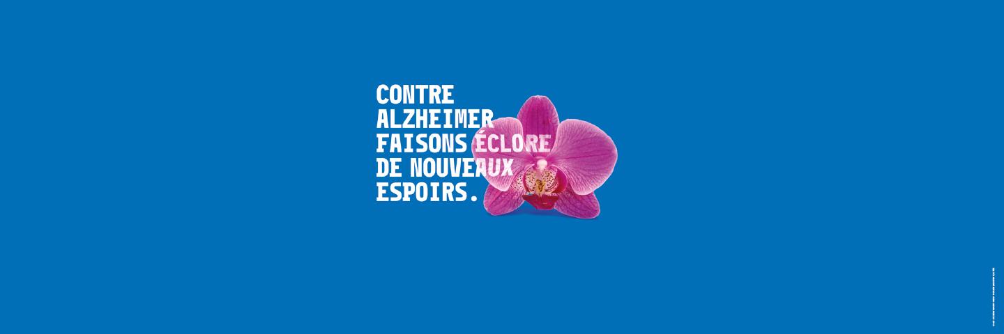 Une orchidée pour la mémoire